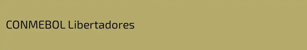 CONMEBOL Libertadores